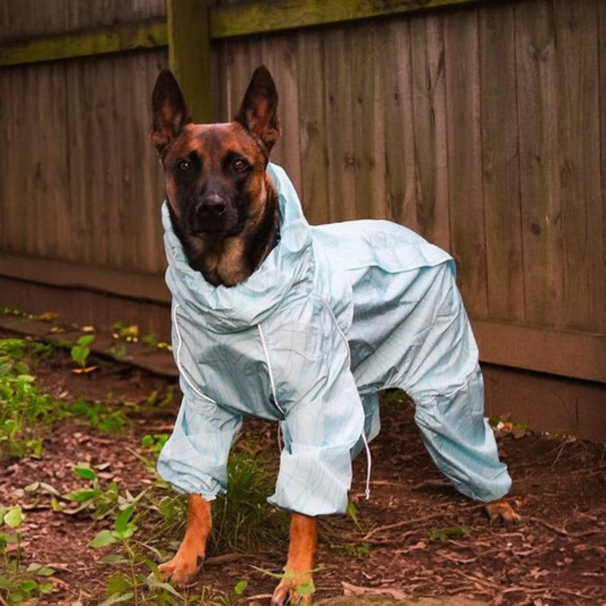 Customer photo: dog in the Puddle Jumper raincoat