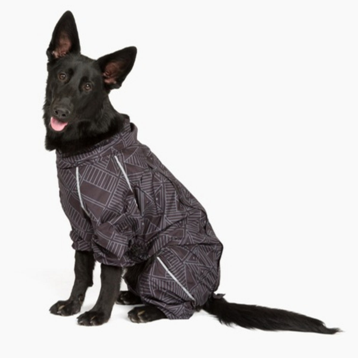 Black shepherd sitting in the Eclipse Puddle Jumper raincoat, front three-quarter view 