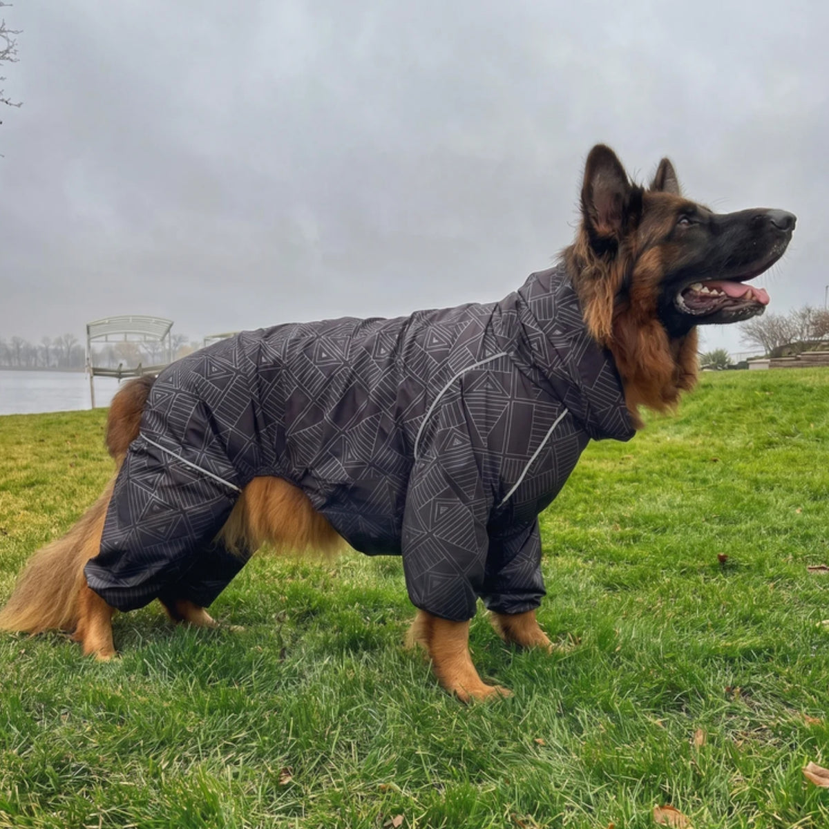 German shepherd in the Eclipse Puddle Jumper raincoat by a lake 