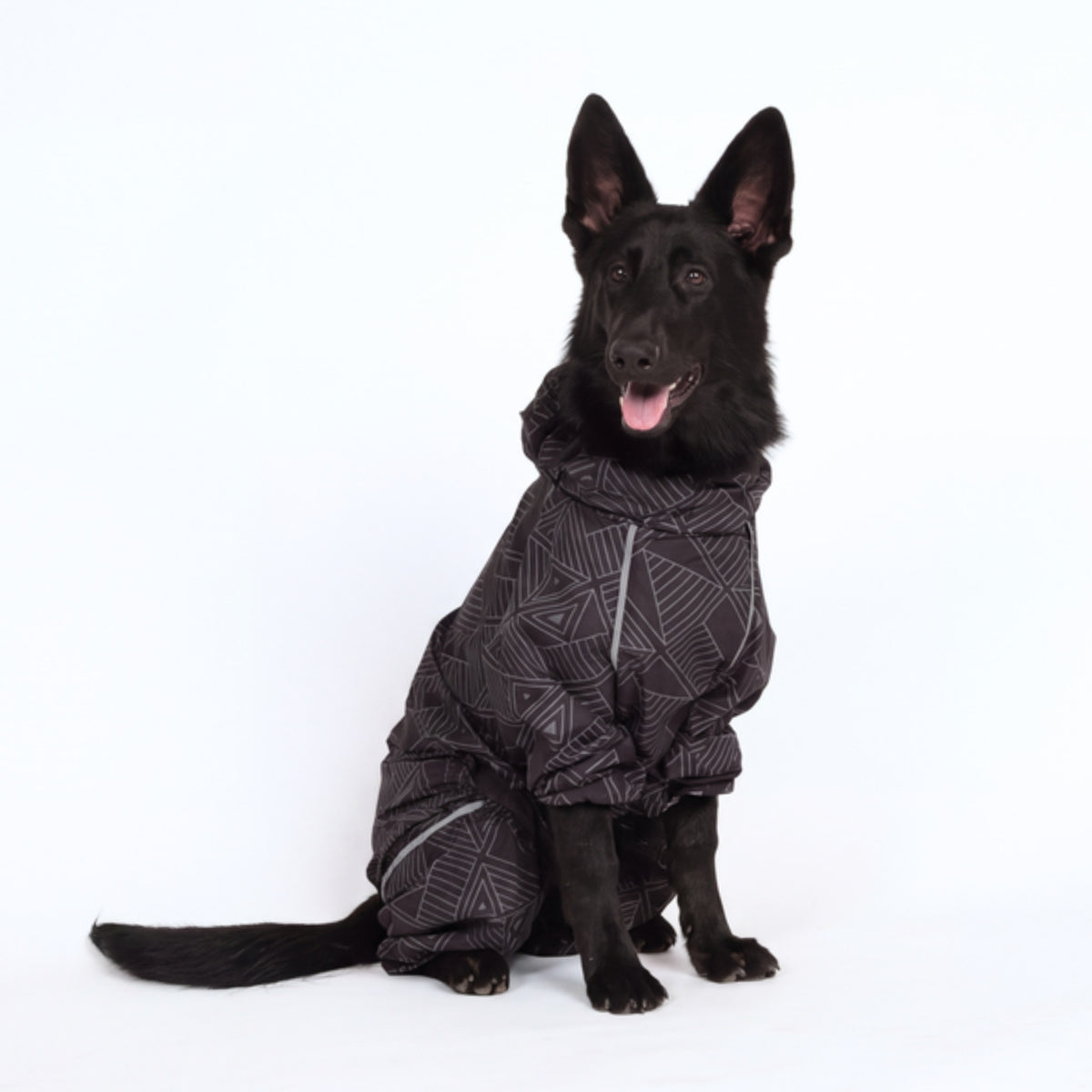 Black shepherd sitting in the Eclipse Puddle Jumper raincoat 