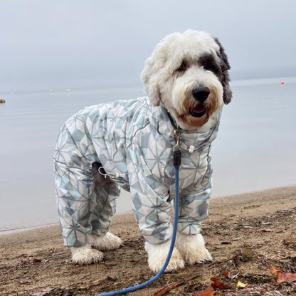 Sheepdog in the Overcast Puddle Jumper raincoat on a grey beach 