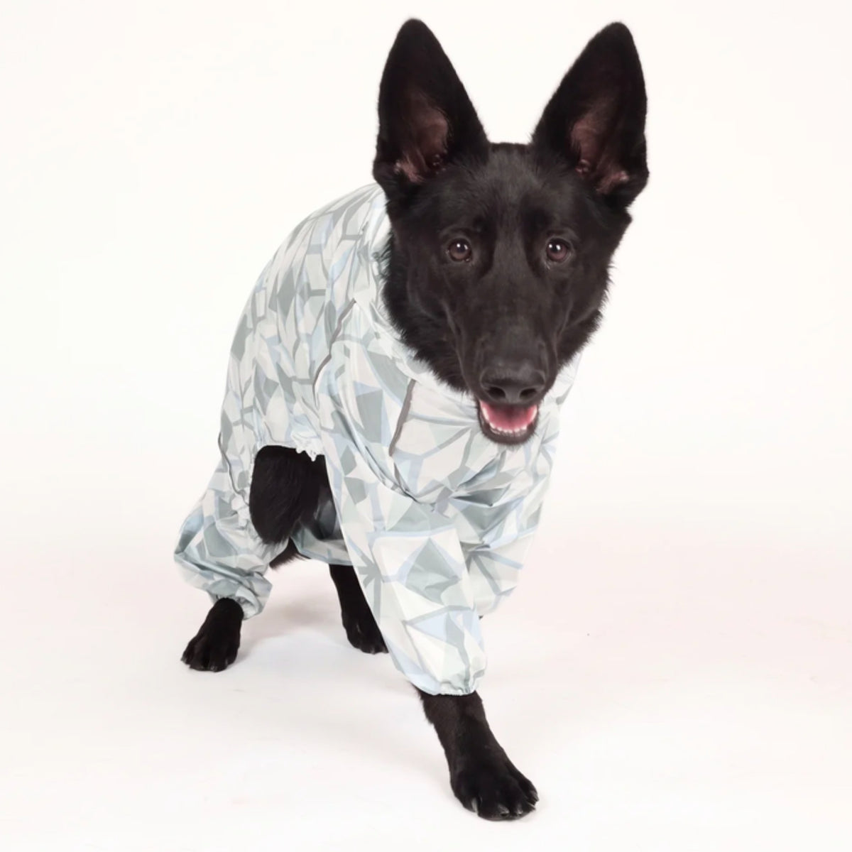 Black shepherd in the Overcast Puddle Jumper raincoat, front view 