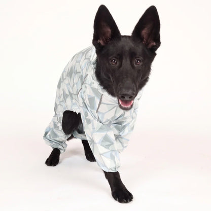 Black shepherd in the Overcast Puddle Jumper raincoat, front view 