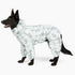 Black shepherd in the Overcast Puddle Jumper dog raincoat, side view 