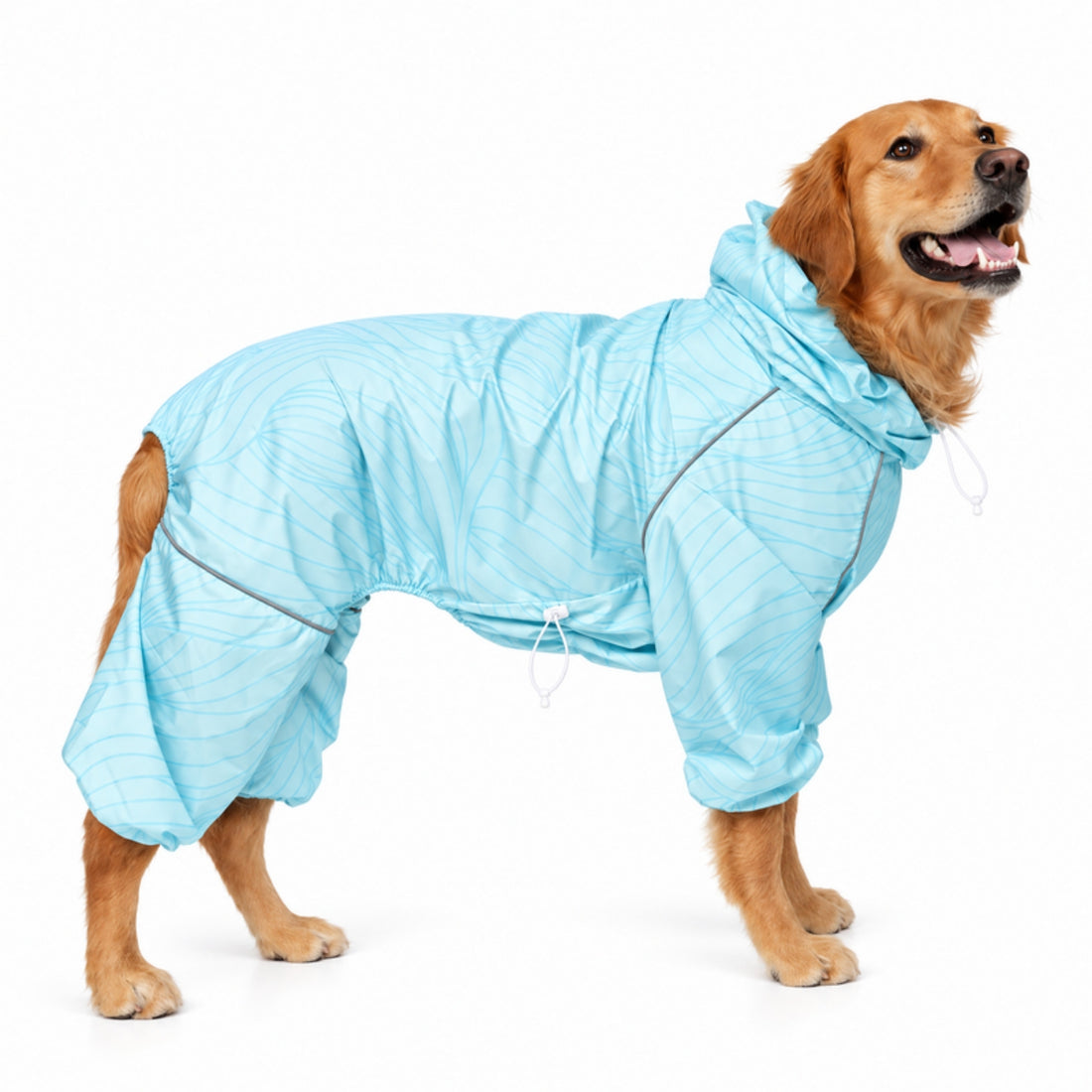 Golden retriever in the Ripple Puddle Jumper raincoat, front three-quarter view 