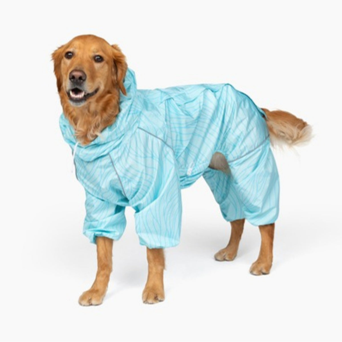 Golden retriever in the Ripple Puddle Jumper dog raincoat, side view, belly and all four legs covered 