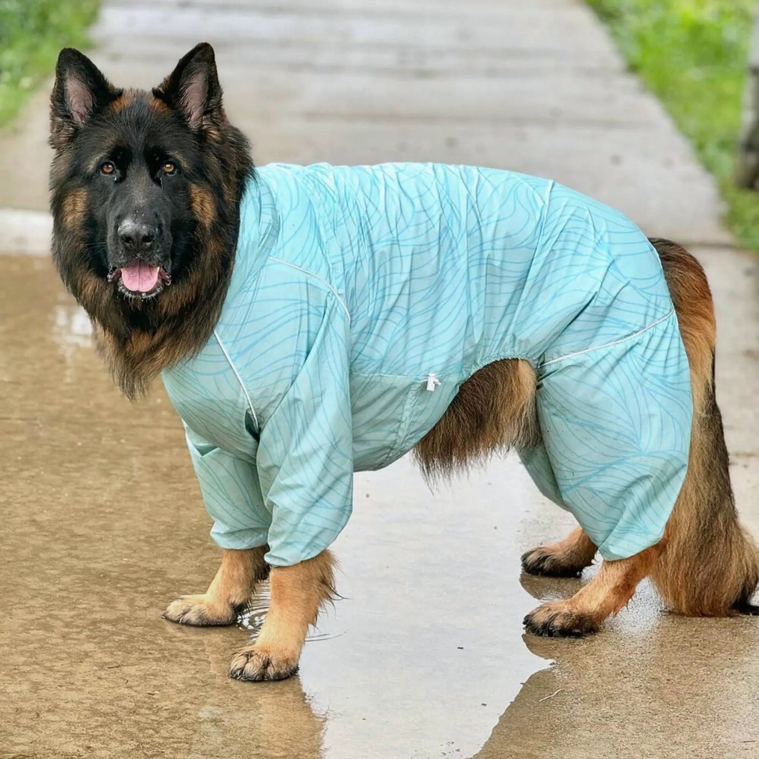 Puddle Jumper Dog Raincoats - WOOFESSENTIAL