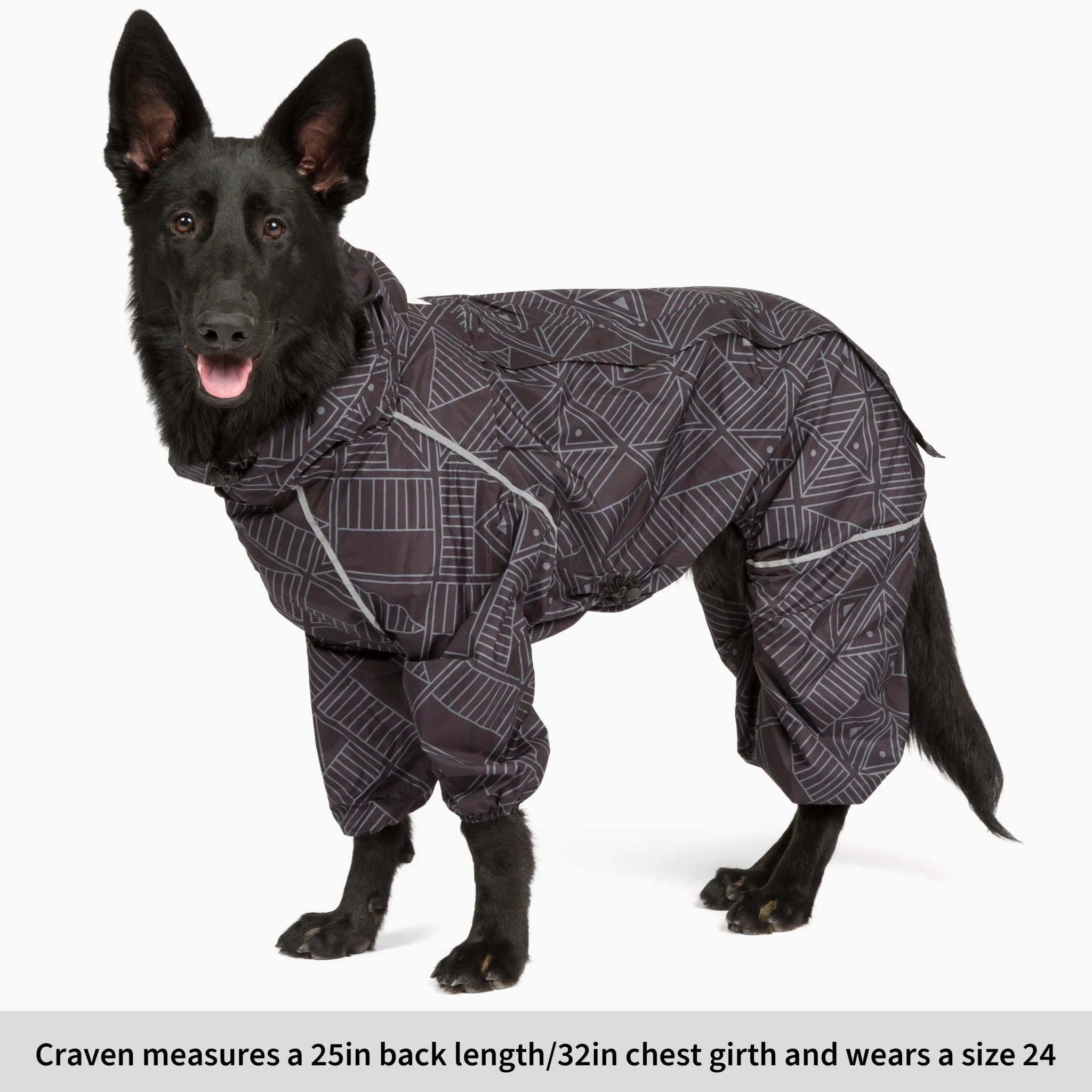 Puddle Jumper Dog Raincoats - WOOFESSENTIAL