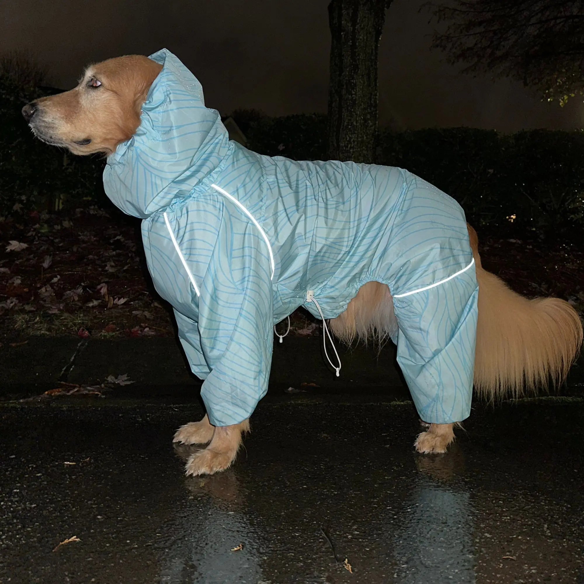 Puddle Jumper Dog Raincoats - WOOFESSENTIAL