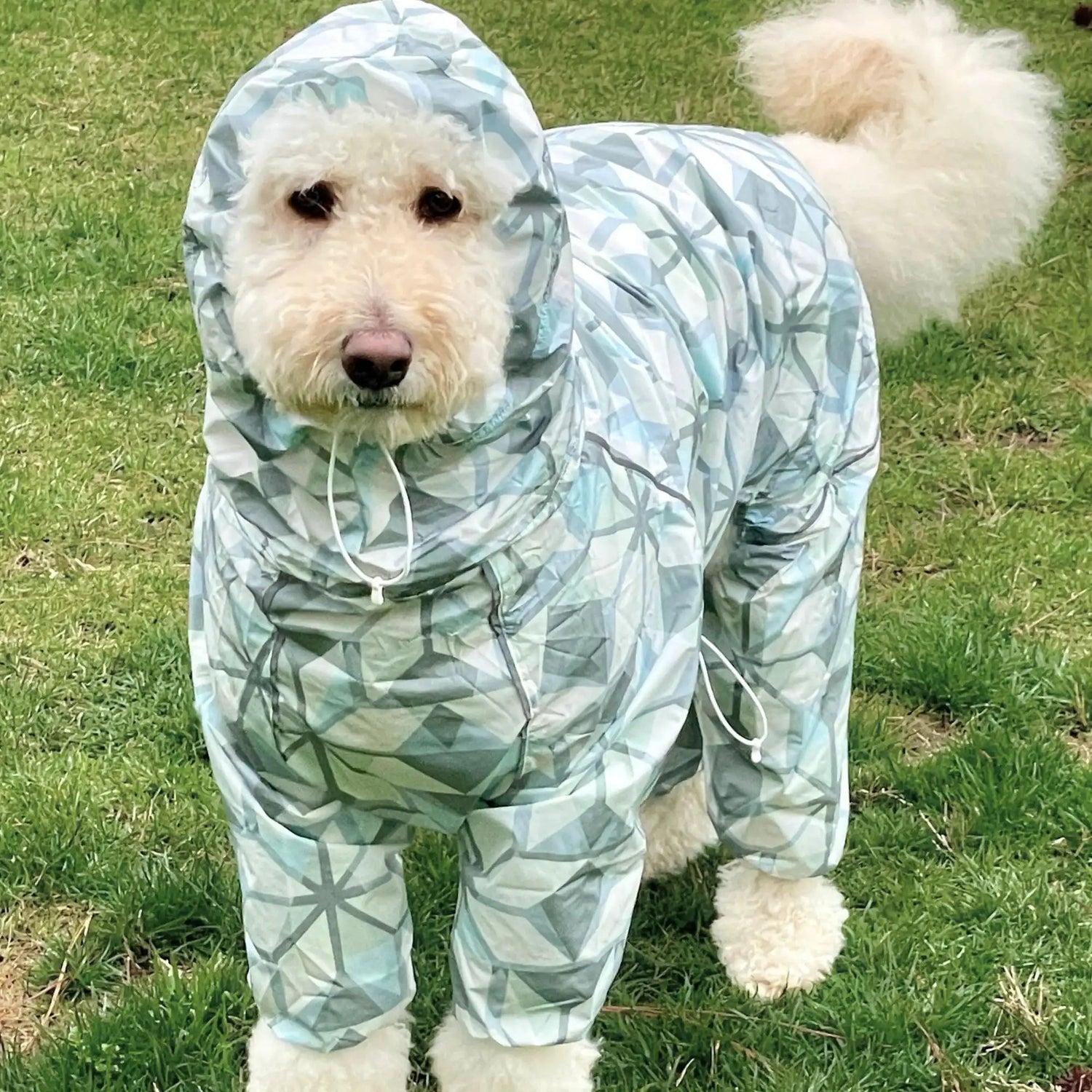 Puddle Jumper Dog Raincoats - WOOFESSENTIAL