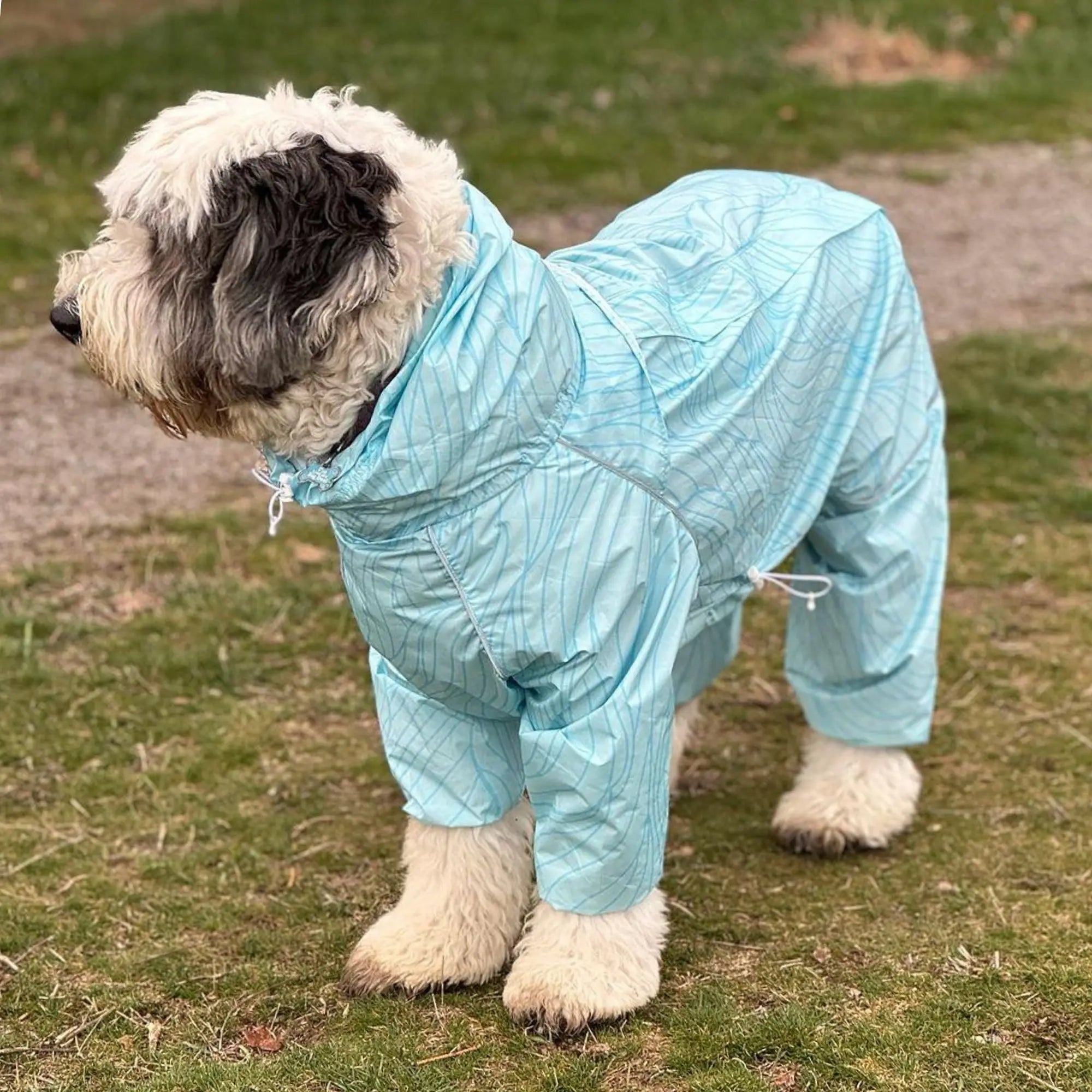 Puddle Jumper Dog Raincoats - WOOFESSENTIAL