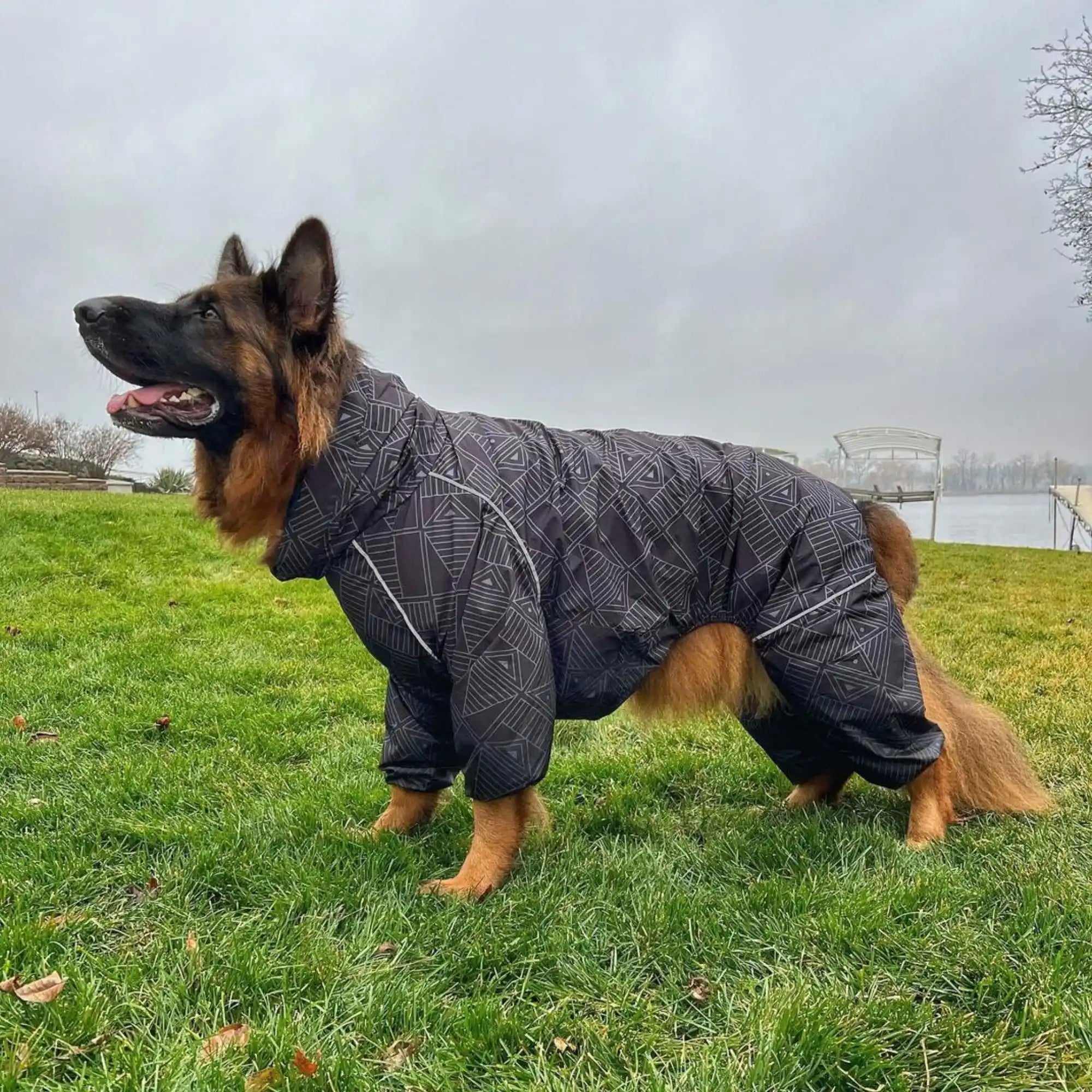 Puddle Jumper Dog Raincoats - WOOFESSENTIAL