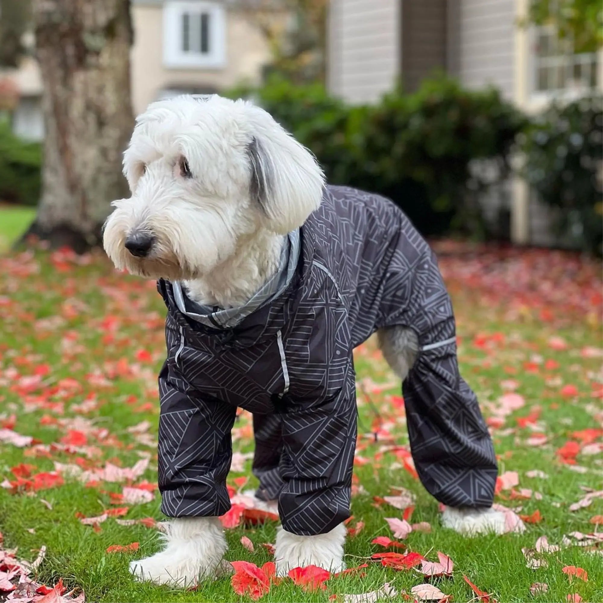 Puddle Jumper Dog Raincoats - WOOFESSENTIAL