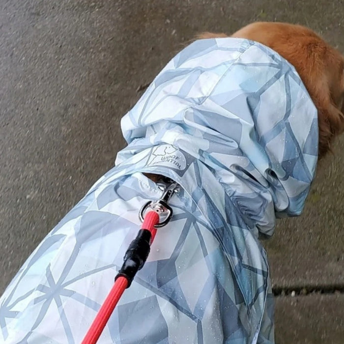 Leash clipped to the collar through the Puddle Jumper leash opening