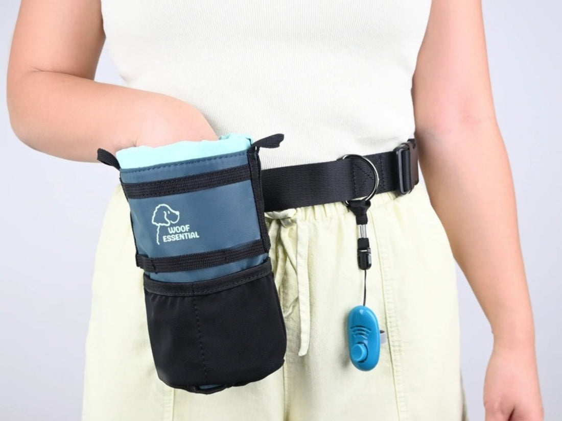 Walk’n Train Sling worn on the waist as a treat pouch