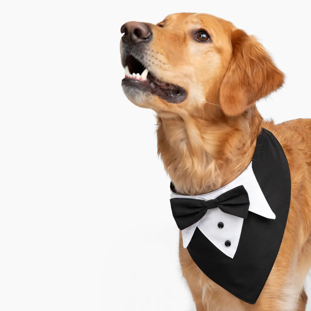 One tux, every occasion.