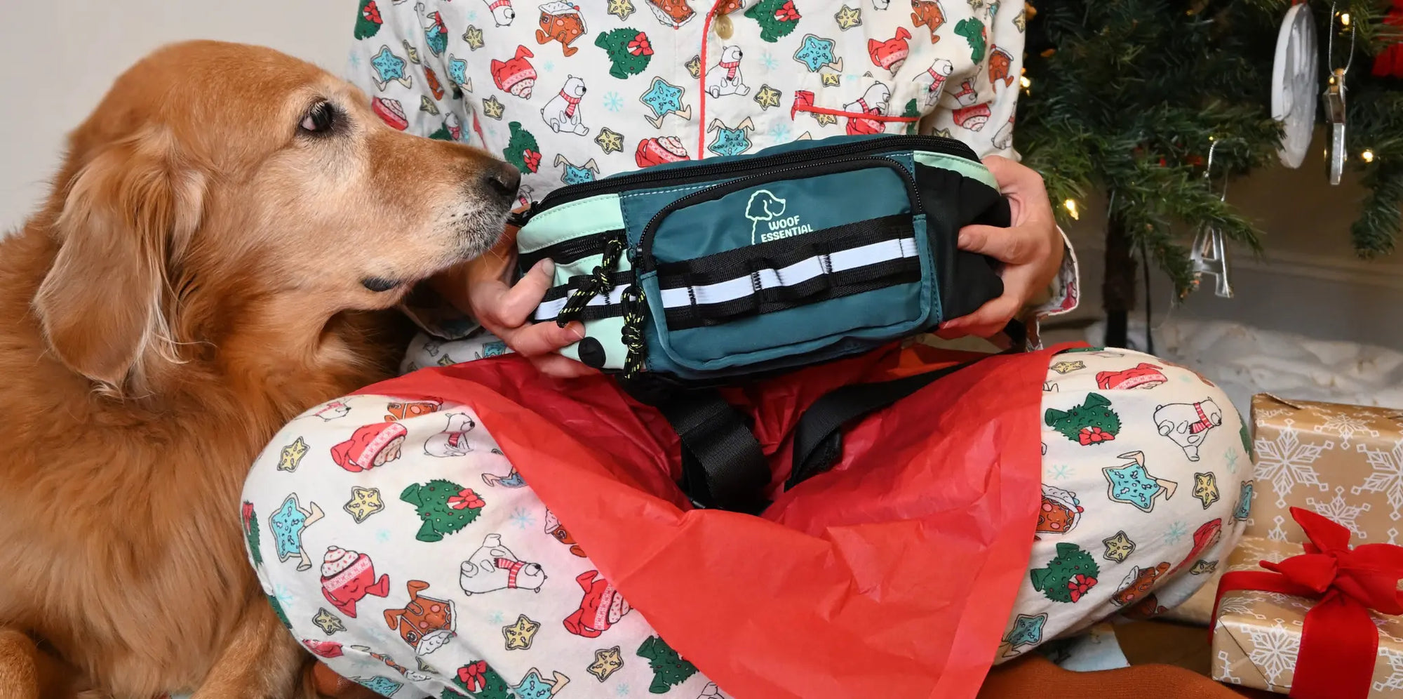 Holiday Gift Guide 2025