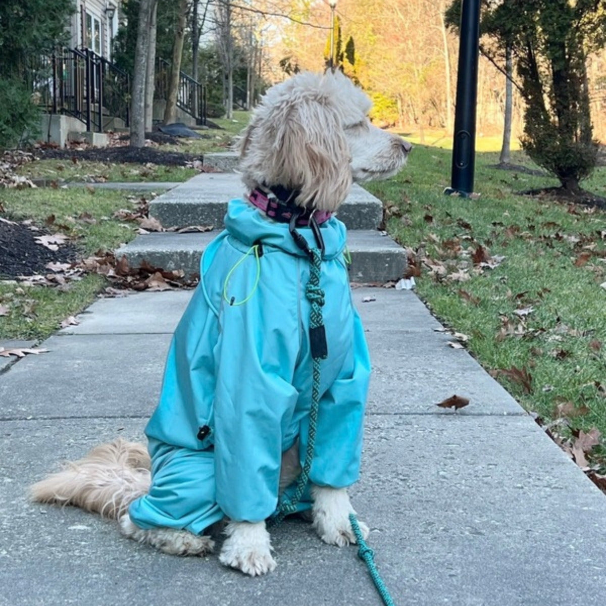 Customer photo: doodle on a neighborhood walk in the Snow Warrior
