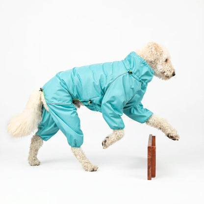 Doodle stepping forward in the Oasis blue Snow Warrior, all four legs covered 