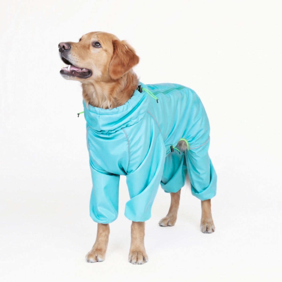 Golden retriever in the Oasis blue Snow Warrior, front three-quarter view showing the chest and front legs covered 
