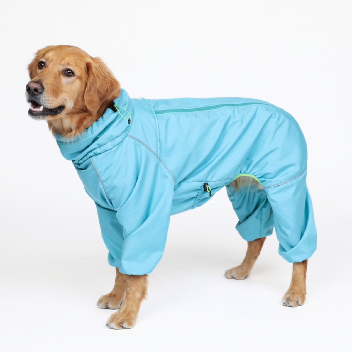 Golden retriever wearing the Snow Warrior dog snowsuit in Oasis blue, side view 