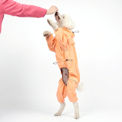 Standard poodle standing up on its back legs in the Sunset orange Snow Warrior, the suit moving with it 