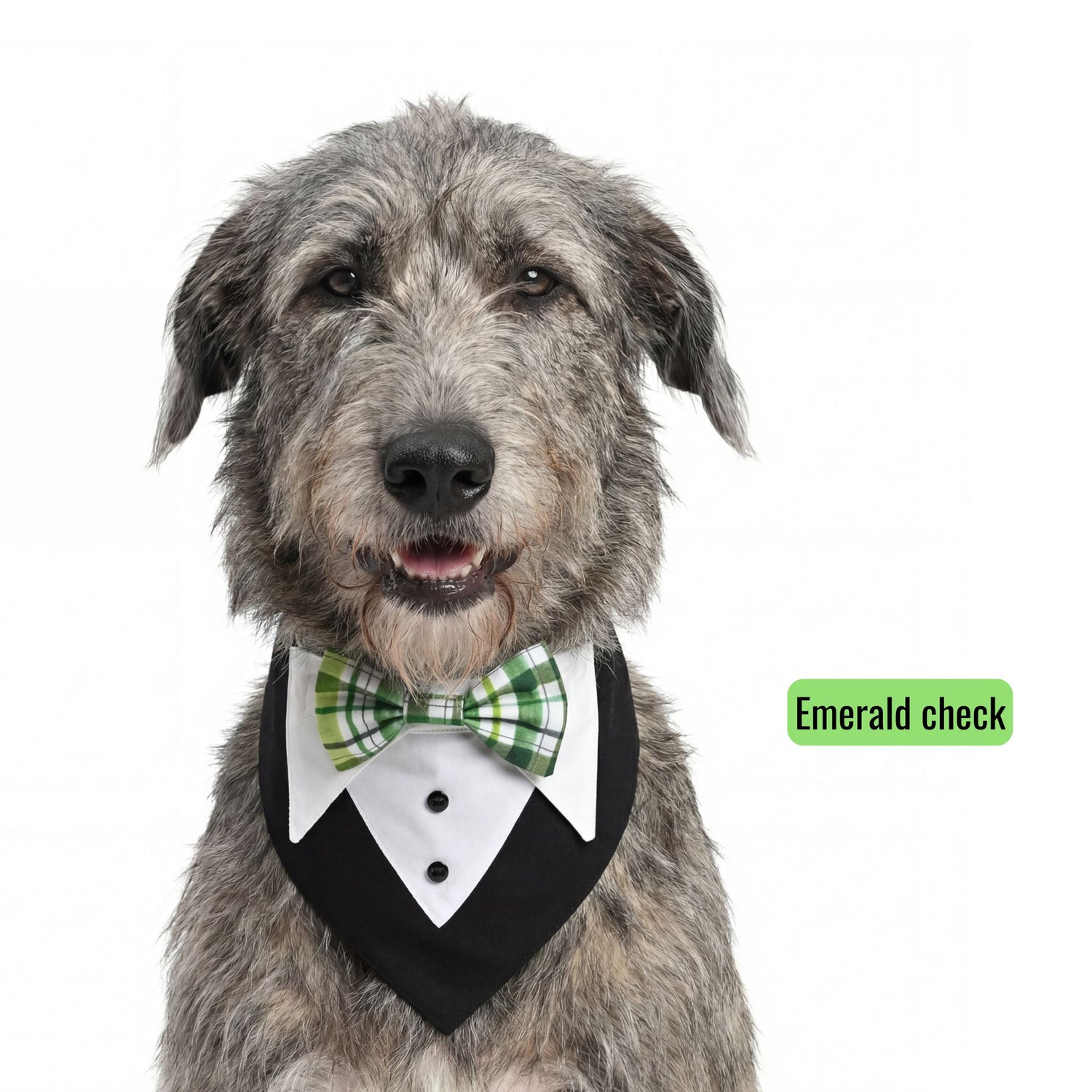 Switch-a-bow Tuxedo Bandana Set