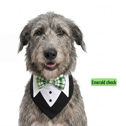 Switch-a-bow Tuxedo Bandana Set
