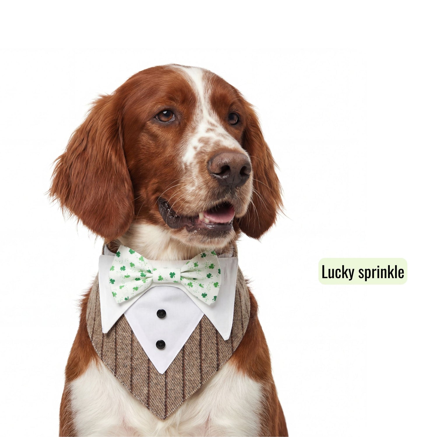 Switch-a-bow Tuxedo Bandana Set