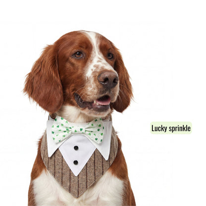 Switch-a-bow Tuxedo Bandana Set