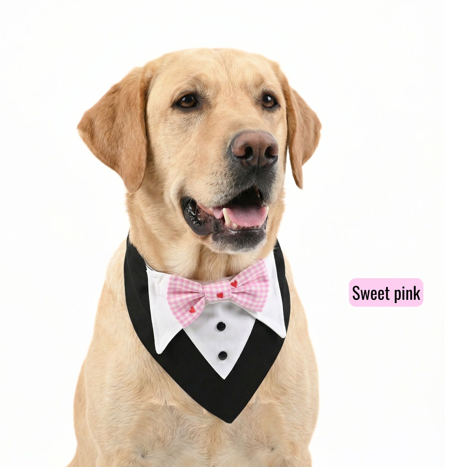 Switch-a-bow Tuxedo Bandana Set