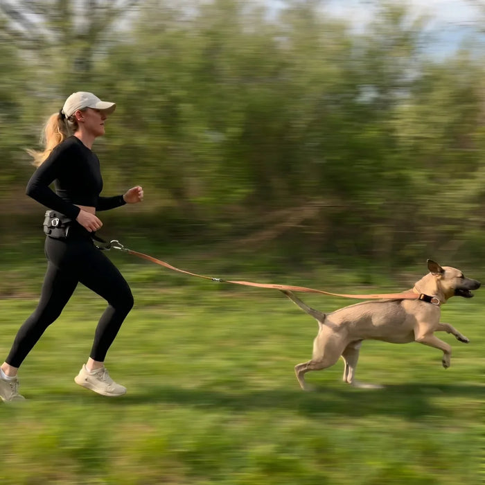 A runner with the leash clipped to her waist belt, hands free, tan dog running alongside her